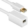 Mini Displayport verlengsnoer afbeelding