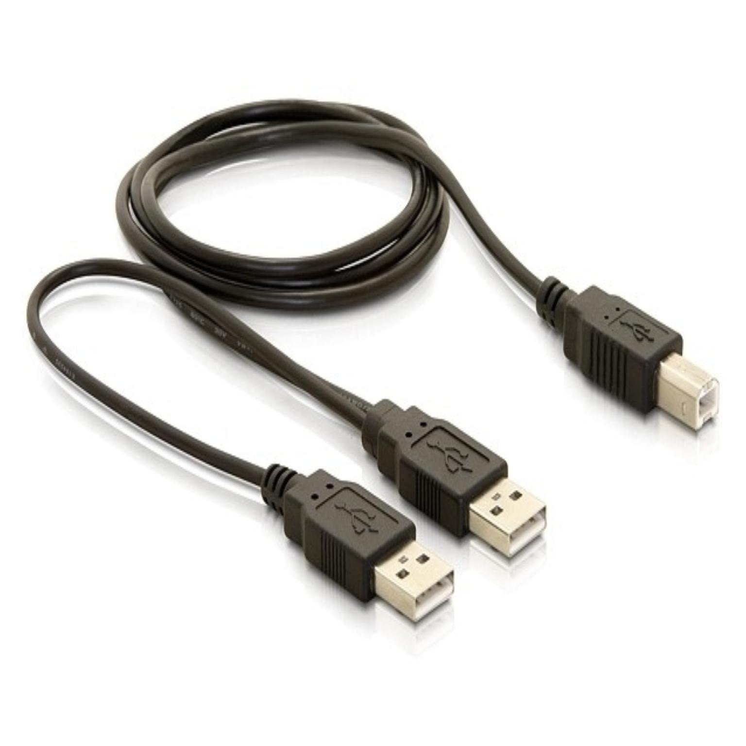 USB Y adapter omvormer - Delock
