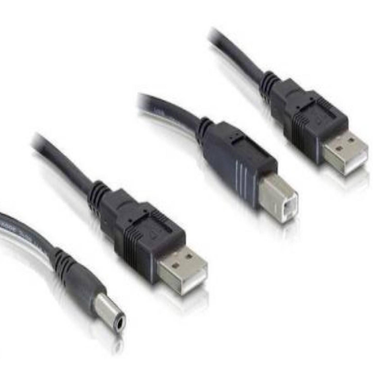 Image of DeLOCK Cableset 2x USB-A / DC + USB-B