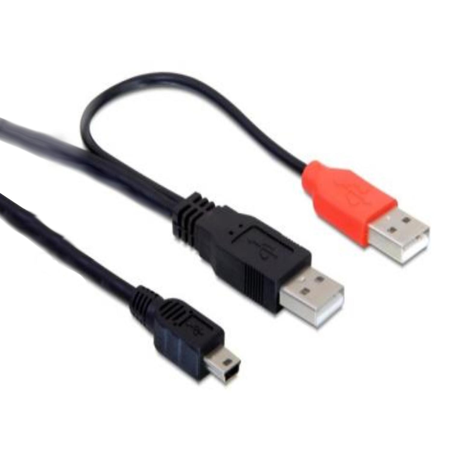 Image of DeLOCK 2x USB2.0-A male / USB mini 5-pin