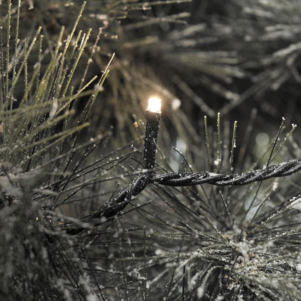 Kerstboom Verlichting
