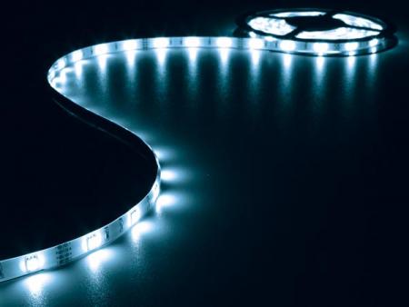 Image of LED strip - 150 LED's - 5 meter - Blauw - Velleman