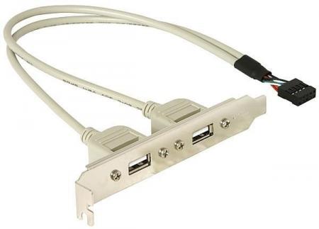 Image of DeLOCK Slotbracket 1x internal USB 5pin > 2x USB2.0 external