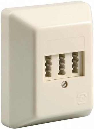 Image of TAE wall plate wall mount NFN - beige for 1 phone and 2 n-encoded ext