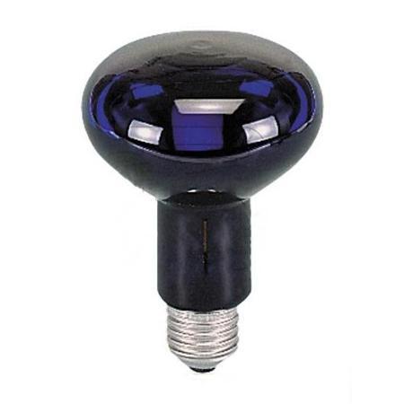 Image of E27 Lamp - Blacklight - Techtube Pro
