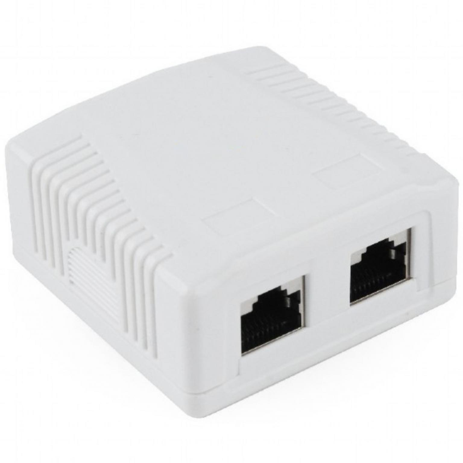 geleidelijk kom Reiziger ISDN/Netwerk Wandcontactdoos RJ45 - ISDN/Netwerk wandcontactdoos, Uitgang:  2x RJ45 female (8p8c), Ingang: Steekaansluiting, Type: CAT5 Kleur: wit