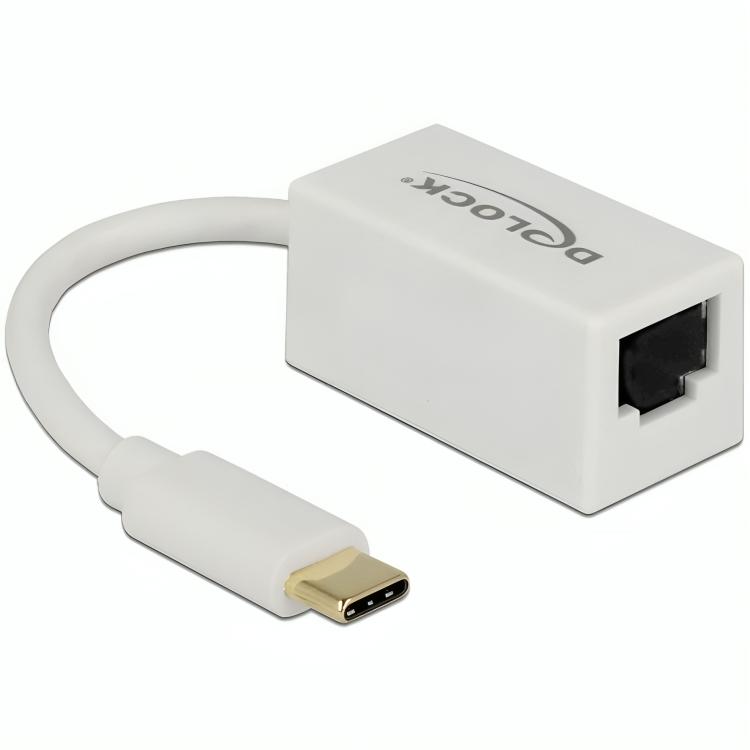 USB C netwerkadapter - LAN - Delock