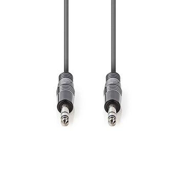 Symmetrisches Audiokabel 6,35 mm Stecker 6,35 mm Stecker 3,0 m Grau -