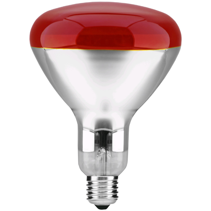 Infrarotlampe - 100 W - 220-240 V - Avide