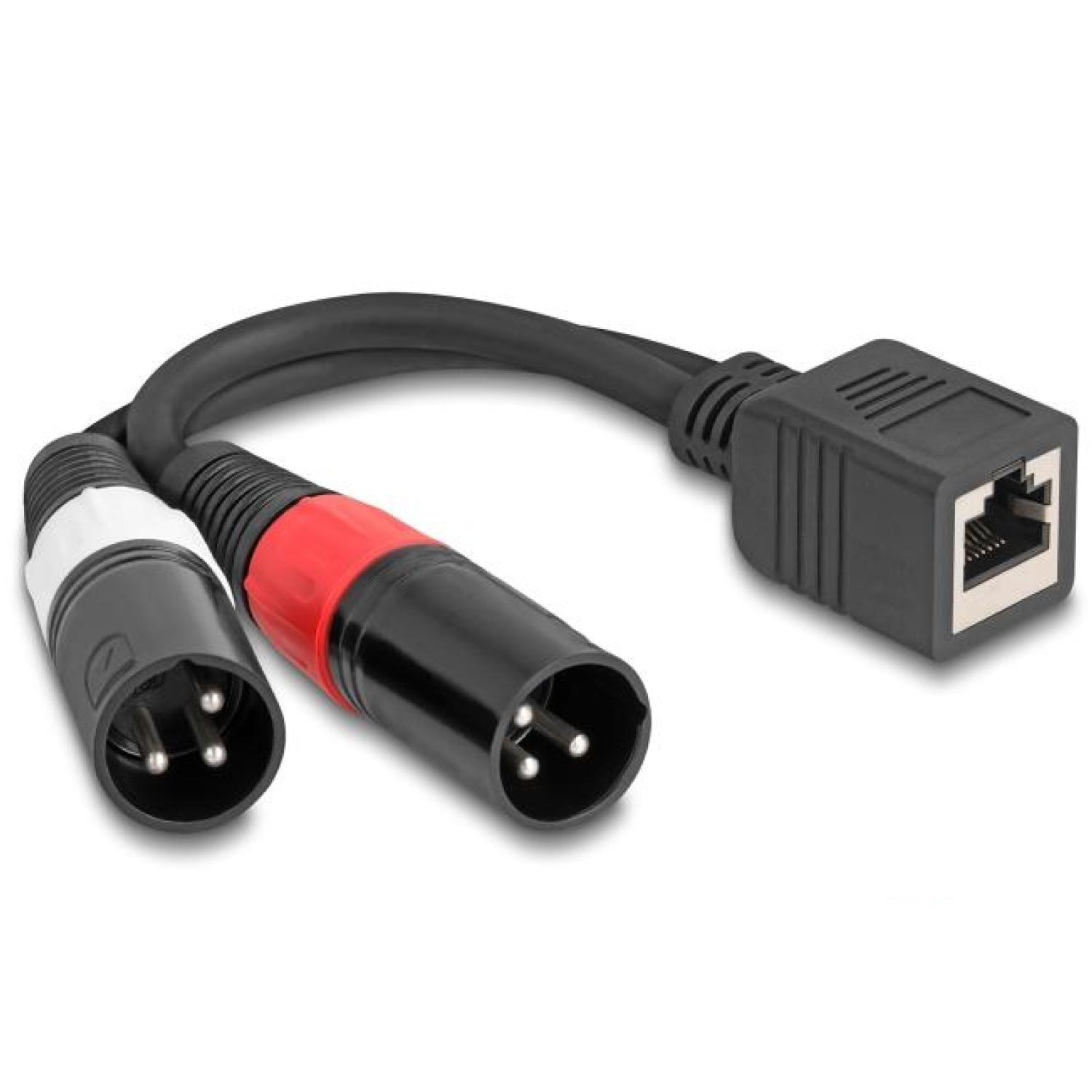 Audio-Konverterkabel - RJ45 zu 2x XLR 3p