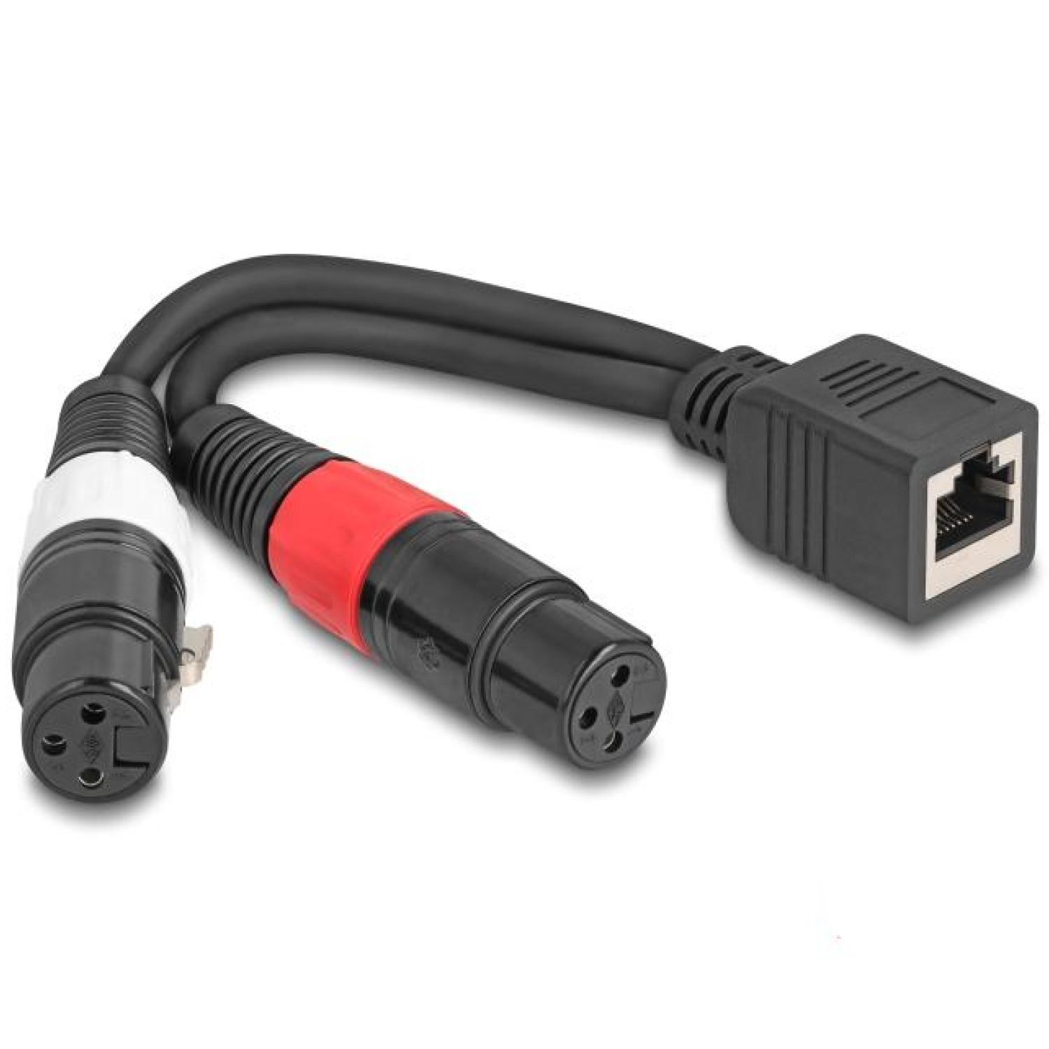 Audio-Konverterkabel - RJ45 zu 2x XLR 3p Stecker
