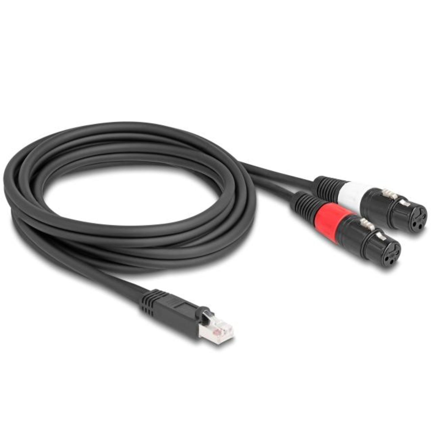 Audio-Konverterkabel - RJ45 Stecker zu 2x XLR 3-Pin Stecker