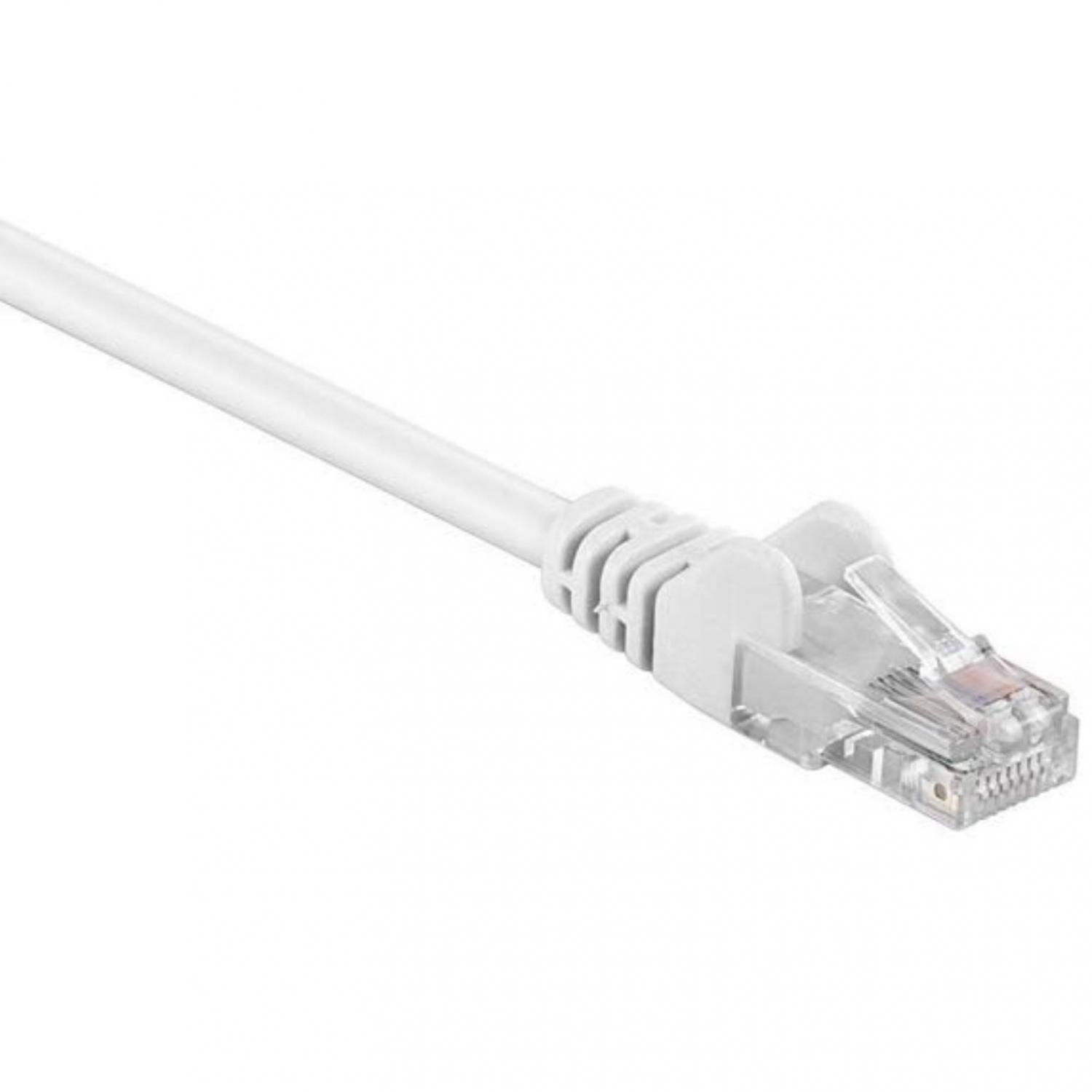 Netwerk kabel Afbeelding