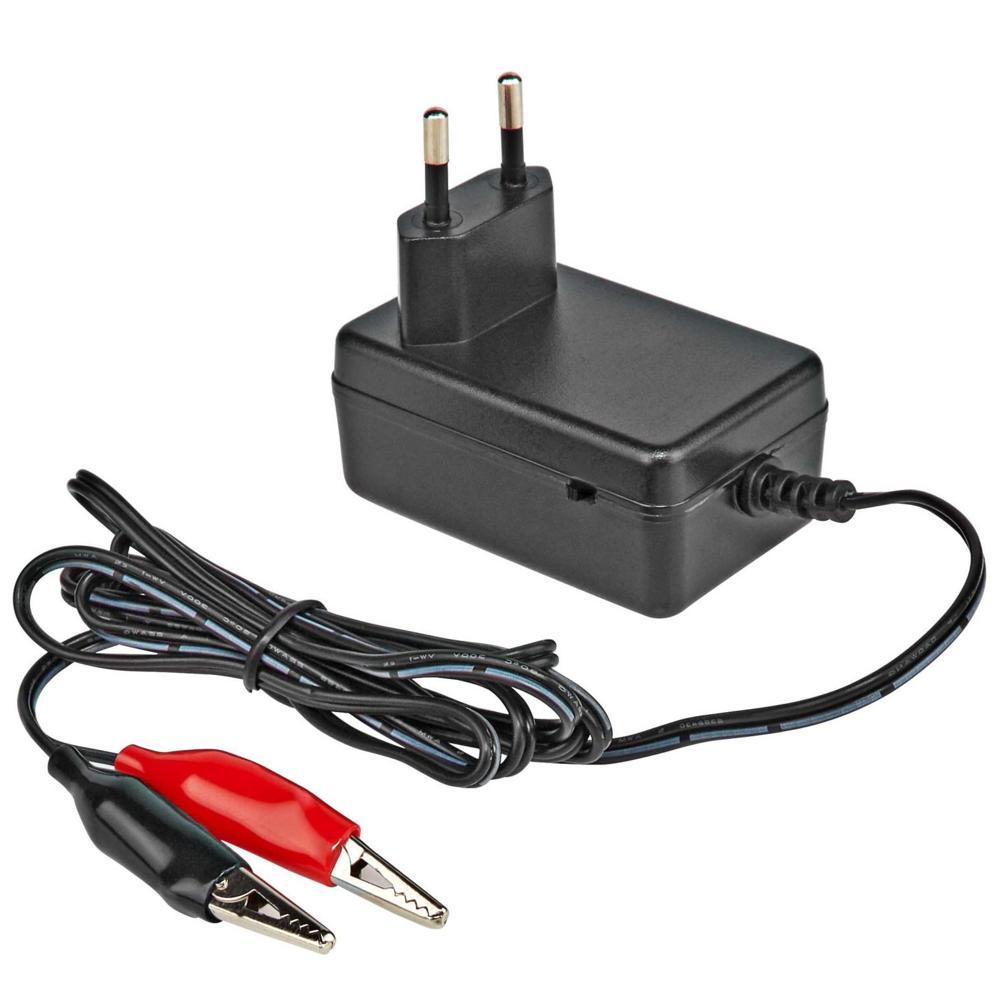 2 volt acculader Afbeelding