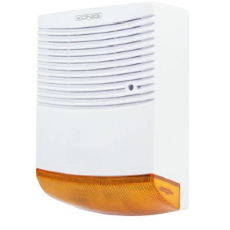 Dummy Alarm Afbeelding