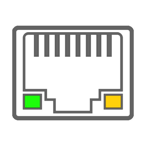 RJ45 netwerk kaart Afbeelding