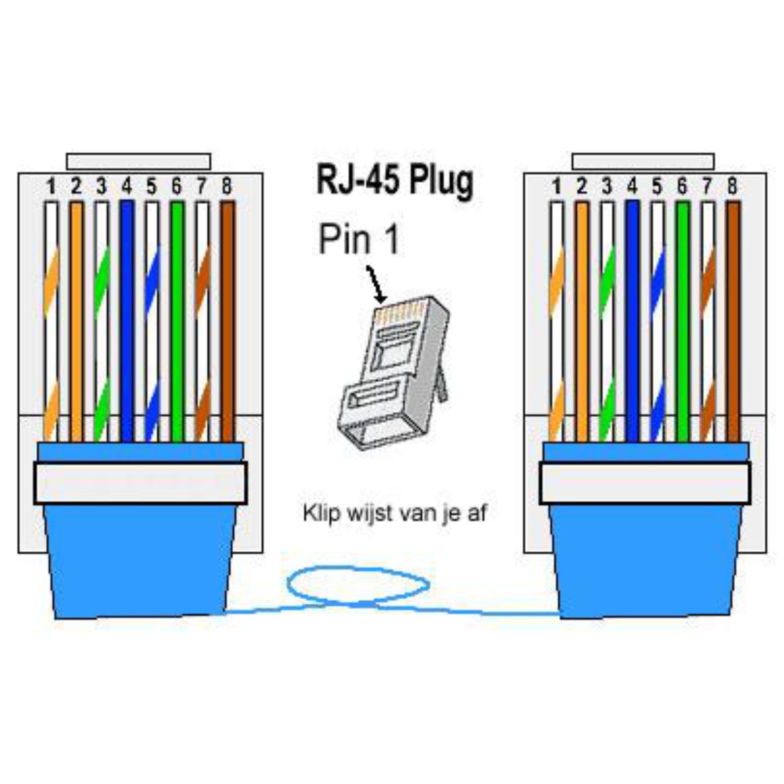 binnenvallen Dwang schildpad Modulaire Stekker RJ45 - Type: RJ45, (8P8C) Modulaire stekker, Aantal  verpakt: Per stuk, Aantal polen: 8, Geschikt voor: Ronde kabel, Kleur:  Transparant wit.