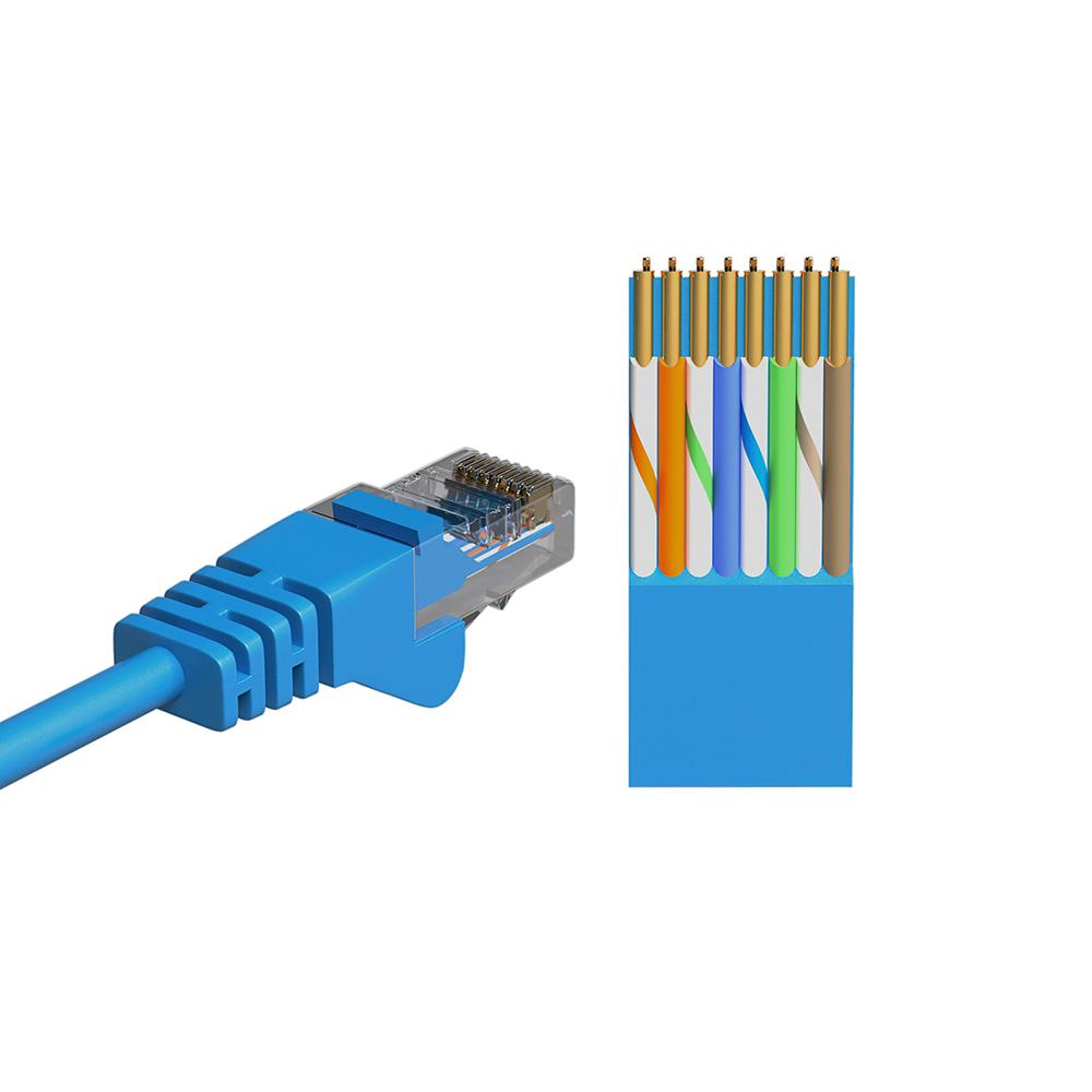 pijn doen teleurstellen Geurig UTP CAT.5 NETWERK KABEL - Type: UTP CAT5 netwerkkabel, (patch kabel),  Lengte: 1.5 Meter, Kleur: Blauw.