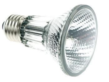 zelfstandig naamwoord comfort Offer Par20 Halogeenlamp E27 - 50W - Lamptype: Halogeen Lampvoet: E27 Lamp  Vermogen: 50 Watt Voltage: 110-240 Volt