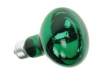 Disco E27 - 60W Groen - Lamptype: Disco Lamp Lampvoet: E27 Lamp Vermogen: 60 Watt Voltage: 110-240 Volt kleur: Groen