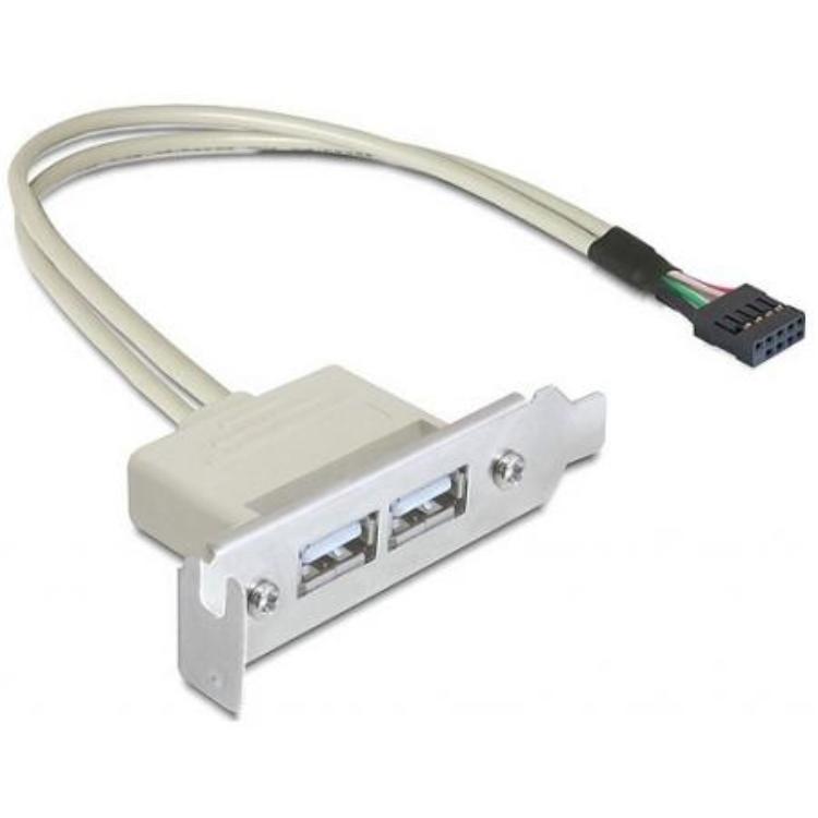 Pin header naar USB A bracket - Delock