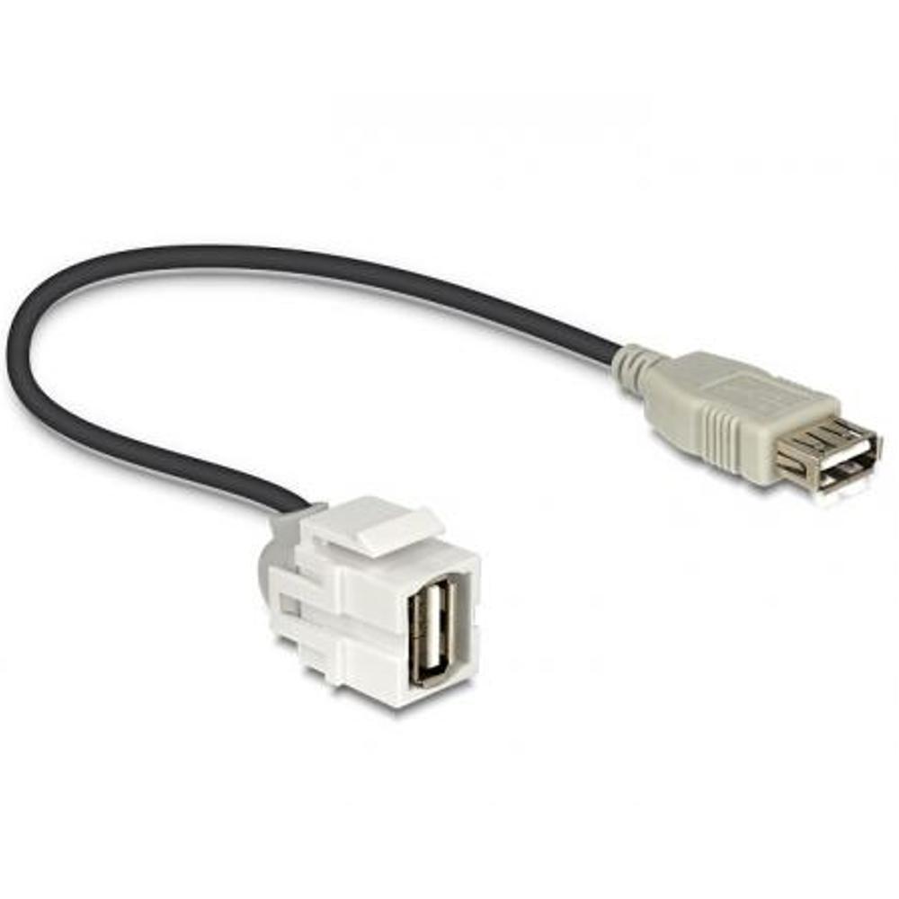 USB A keystone - Delock