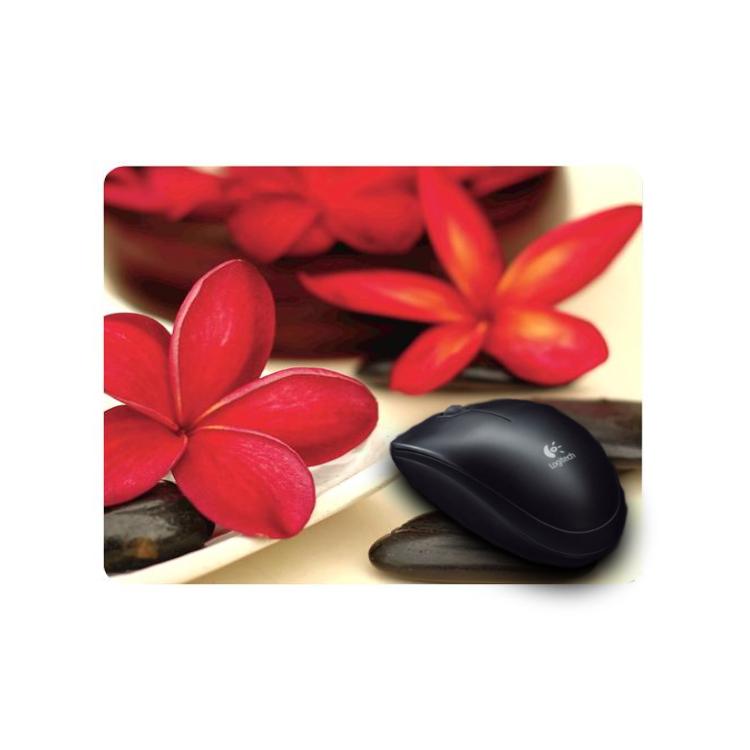 Geschikt Voor Kogelmuizen Print Fellowes fellowes kopen in de aanbieding