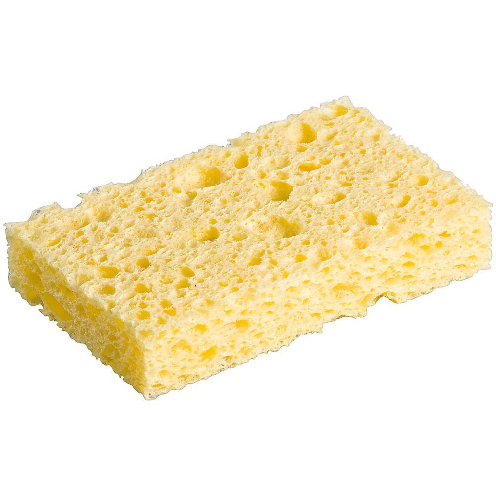 Reinigingsspons