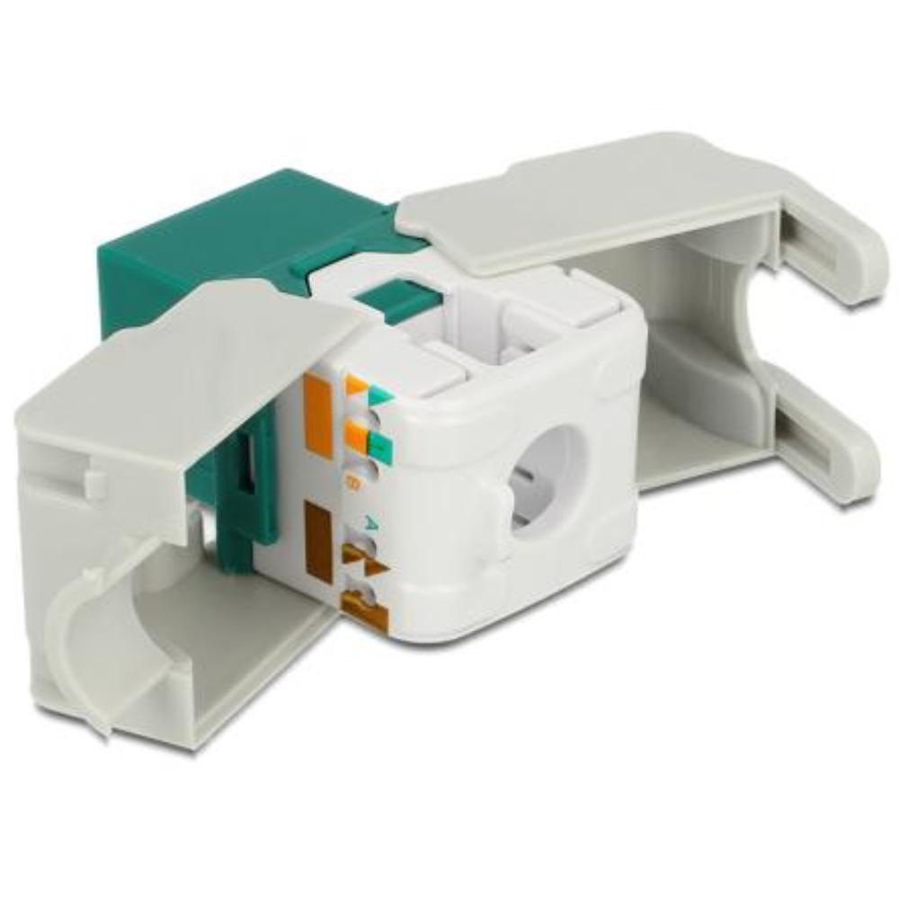 Netwerk keystone - Delock
