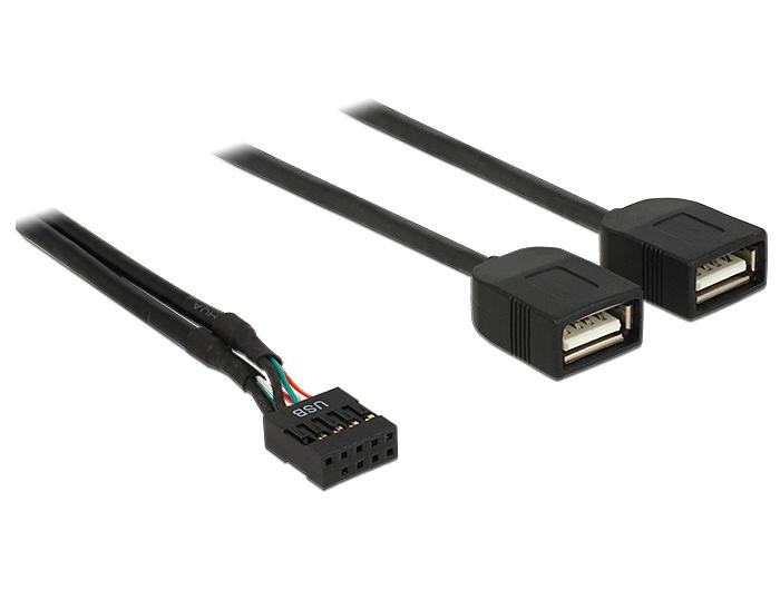 Delock Kabel USB 2.0 Type A 2 x Stekker naar Pin Header 40 cm - Delock