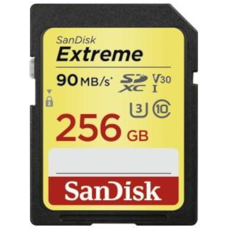 UHS-I - 256 GB - SanDisk