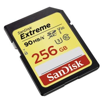 UHS-I - 256 GB - SanDisk