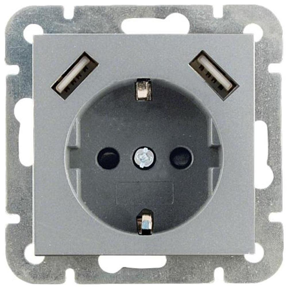 grijs Aap Monument Stopcontact met USB - Soort: Inbouw Spanning: 230 V Type: 1-voudig Extra:  Usb aansluitingen Merk: 2Usb