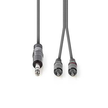 Stereokabel 6,35 mm Stecker 2x RCA Stecker 3,0 m Grijs - Nedis
