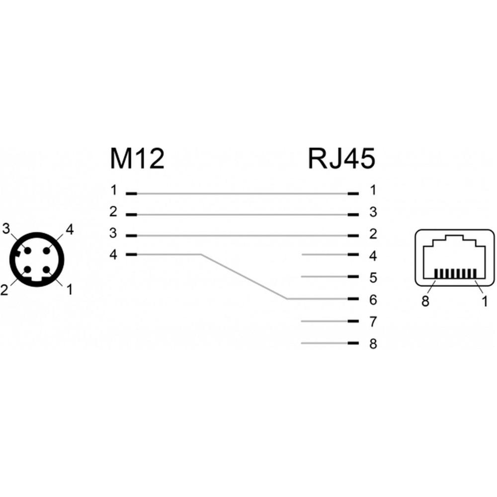 M12 naar RJ45 adapter - Delock