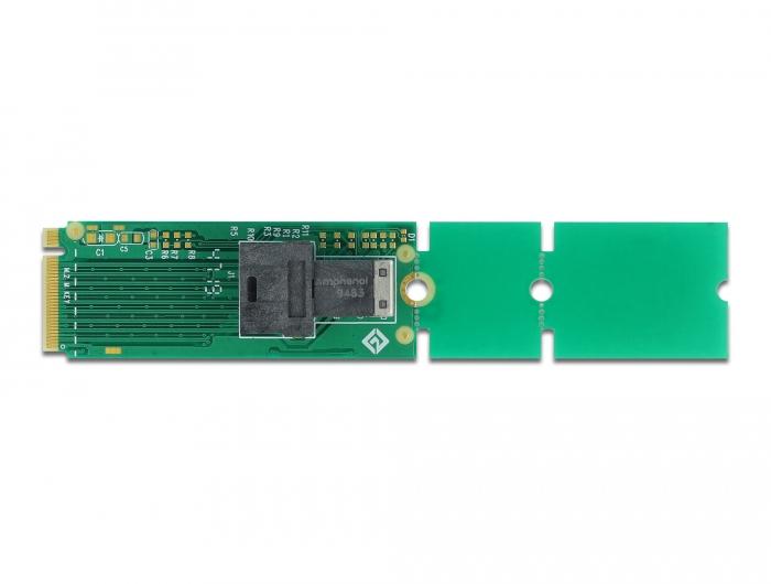 Delock Adapter M.2 Key M naar SFF-8643 NVMe 22110 / 2280 / 2260 - Delock