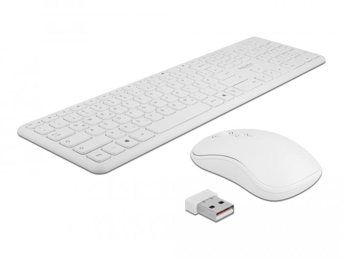 Delock USB Toetsenbord- en Muis-Set 2,4 GHz draadloos wit - Delock