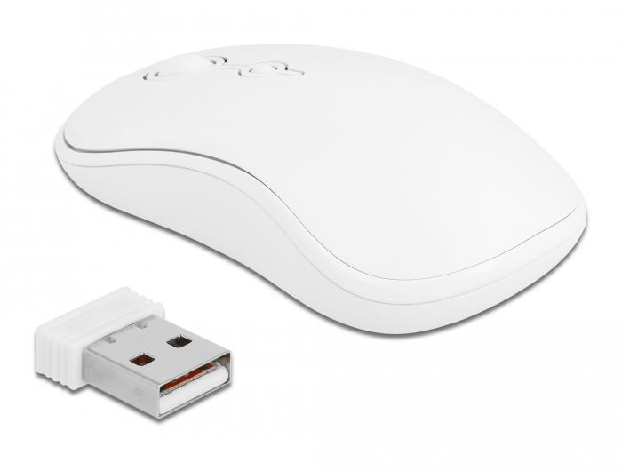 Delock USB Toetsenbord- en Muis-Set 2,4 GHz draadloos wit - Delock