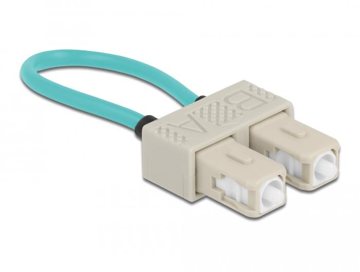 Delock LWL Loopback Adapter SC / OM3 Multimode beige - Delock