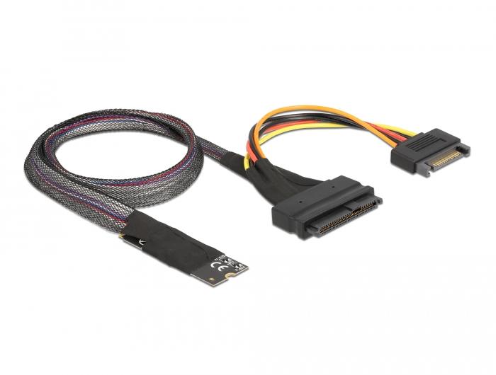 Delock M.2 Key M naar U.2 SFF-8639 NVMe adapter met 50 cm kabel - Delock