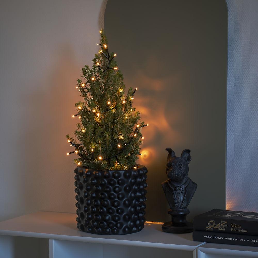 goedkeuren Riskeren Interessant LED Clusterverlichting buiten binnen | Kerstverlichting kerstboom