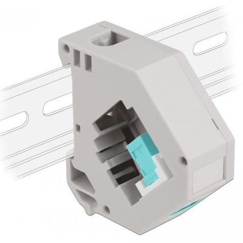 DIN railadapter met keystone module - Delock