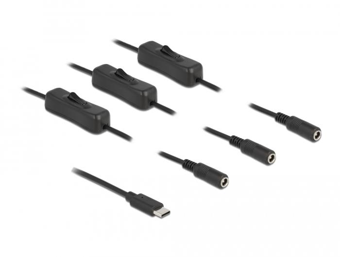 Delock Kabel USB Type-C™-Stekker naar 3 x DC 5,5 x 2,1 mm Bus met Schakelaar - Delock