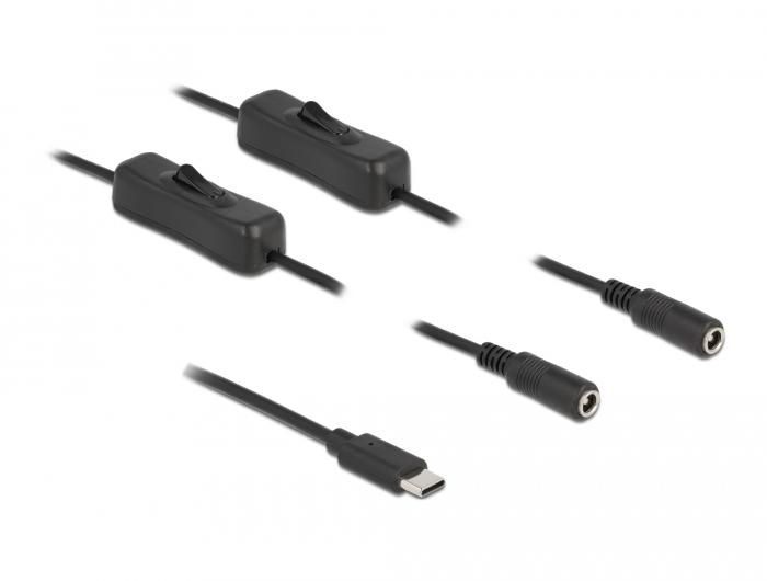Delock-kabel USB Type-C™-stekker naar 2 x DC 5,5 x 2,1 mm-aansluiting met schakelaar - Delock