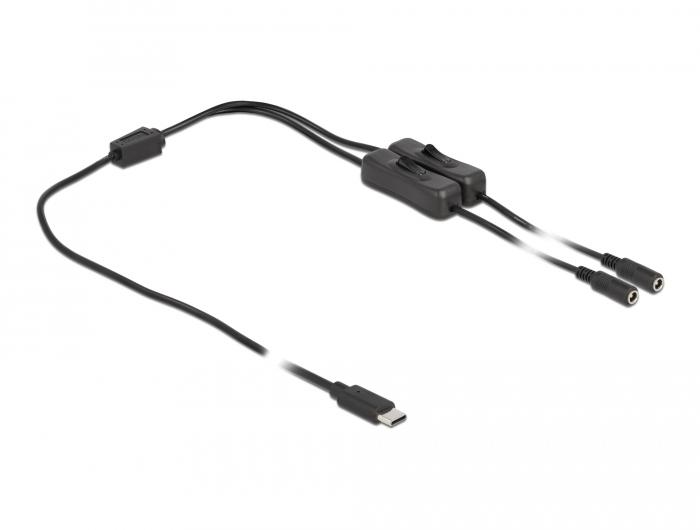 Delock-kabel USB Type-C™-stekker naar 2 x DC 5,5 x 2,1 mm-aansluiting met schakelaar - Delock