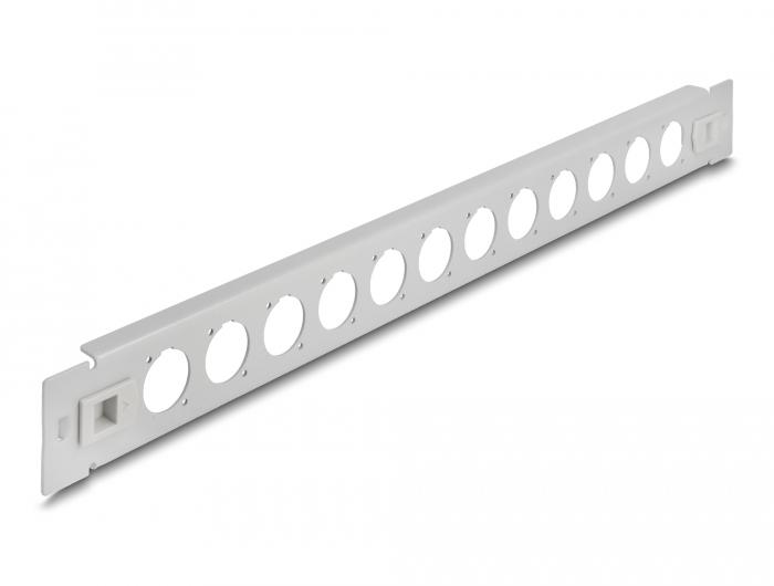 Delock 19″ D-Type Patchpaneel 12-poorts gereedschapsvrij grijs - Delock