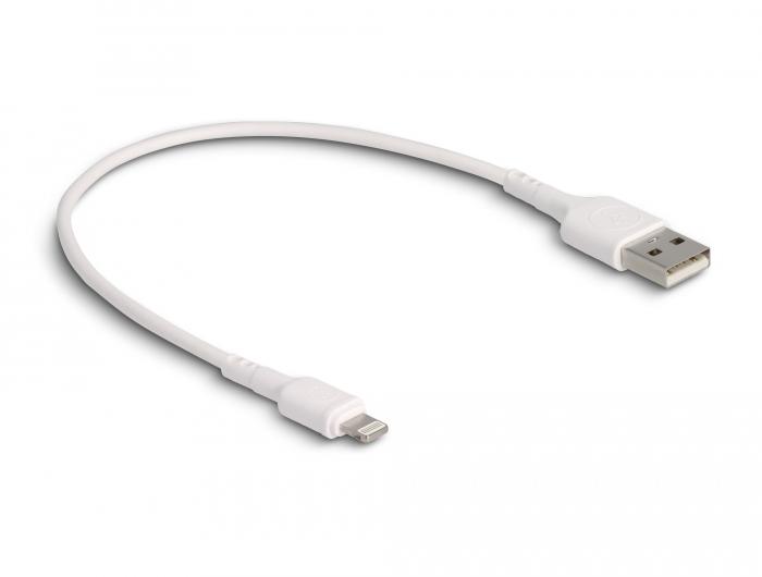 Delock USB-laadkabel voor iPhone™, iPad™, iPod™ wit 30 cm - Delock