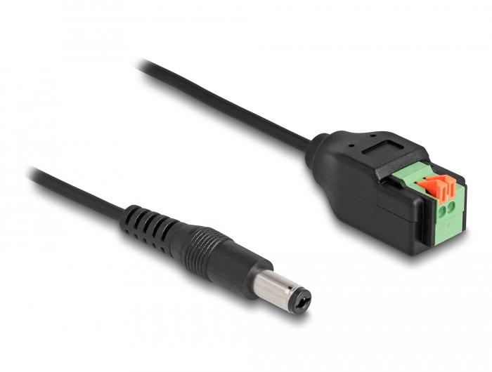 Delock DC-kabel 2,1 x 5,5 mm Stekker naar Klemmenblokadapter met Drukknop