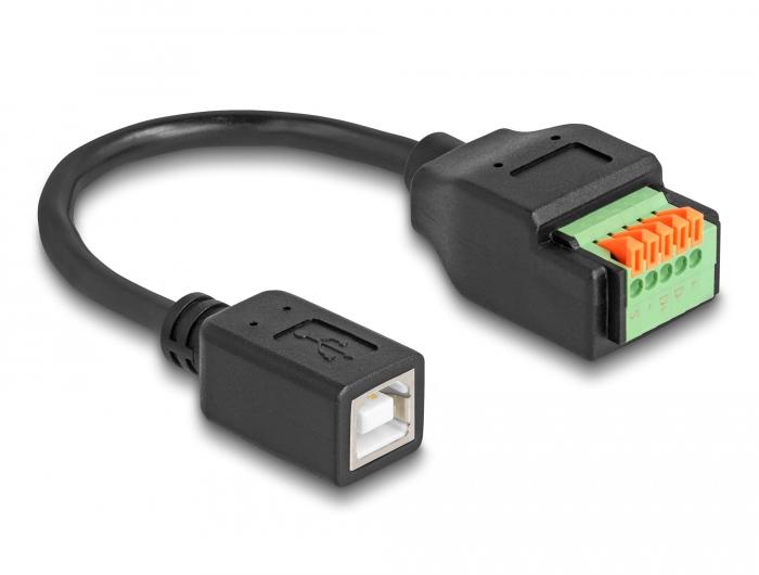 Delock USB 2.0 Kabel Type-B Stekker naar Klemmenblokadapter met Drukknop