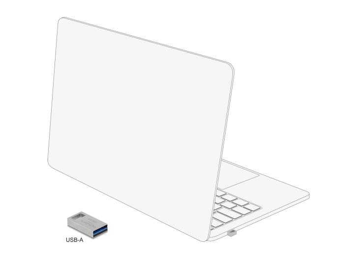 Delock USB 5 Gbps geheugenstick 256 GB - metalen behuizing